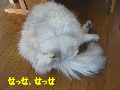 11080501
