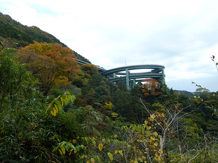 2010箱根伊豆 211