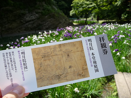 100615-明月院裏庭園-1