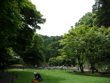 100615-明月院裏庭園-4