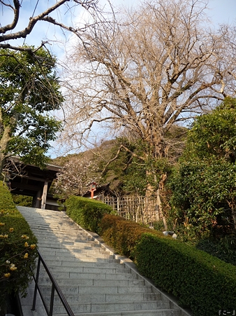 110308-荏柄天神 (5)