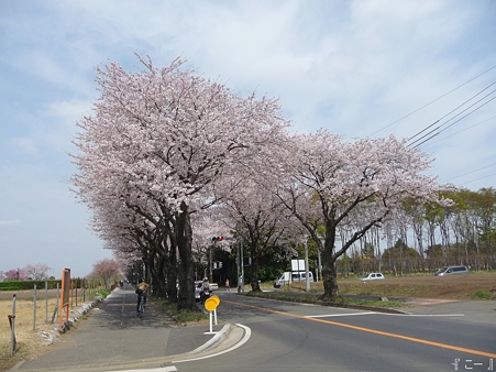 110411-海軍道路 (126)