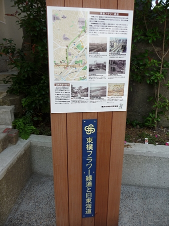 110622-東横廃線 反町→横浜 (65)