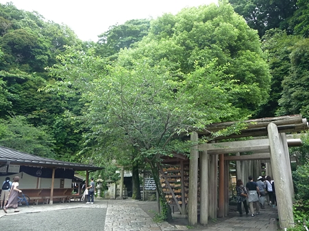 110620-葛原が丘・銭洗弁天 (84)