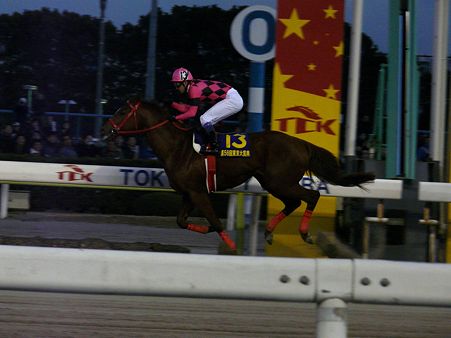 東京大賞典勝ち馬 スマートファルコン(武豊)