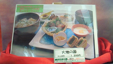201008101813000