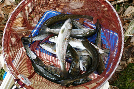 DSC00206