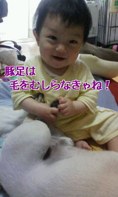 20110511100137