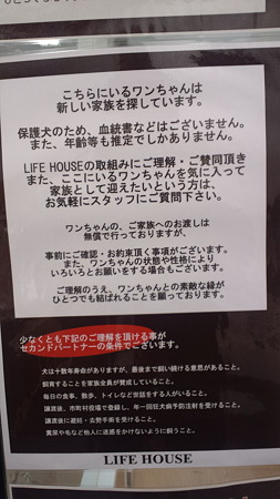 LIFE HOUSE