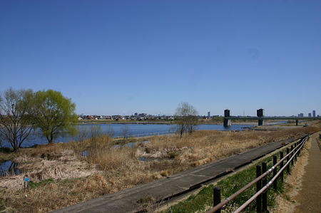 多摩川宿河原堰