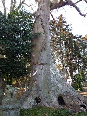 藤岡神社 (天慶3年創立)
