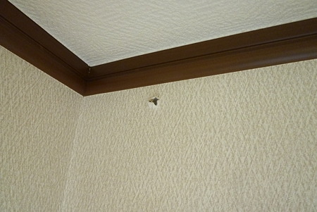 フレッツ光ネクスト工事(8)