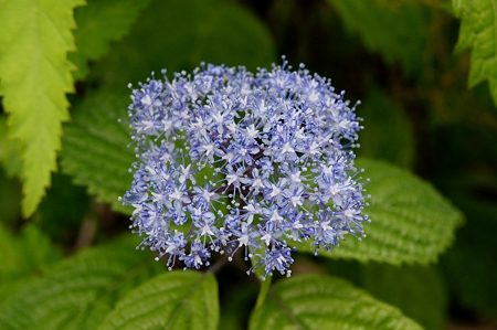 59