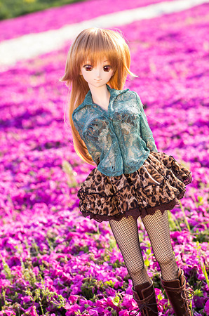 IMGP7017