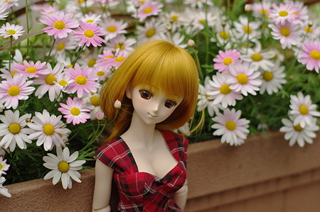 IMGP9140