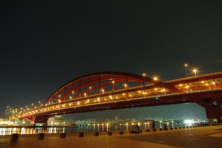 IMGP0091