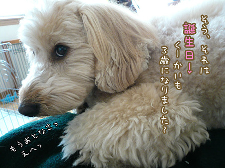 くーかい 3歳の誕生日♪ 2