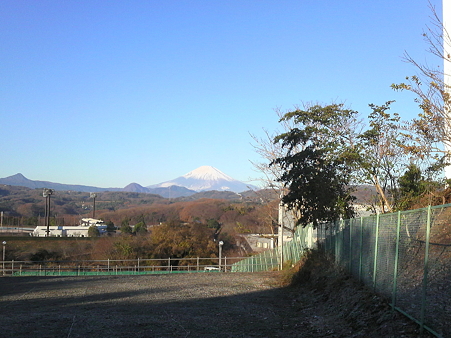 P1000984