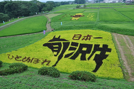 前沢牛