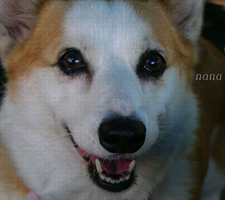 nana