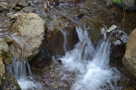 DSC_0390