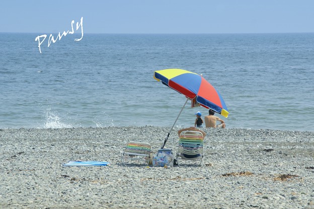 夏の日。。