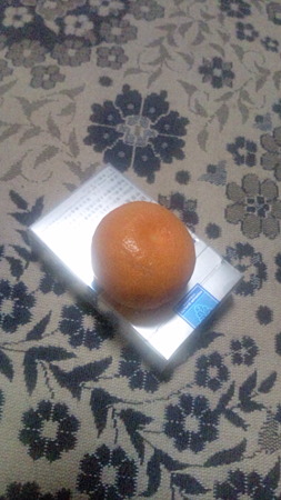 20100706201445