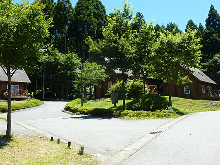 P1090906
