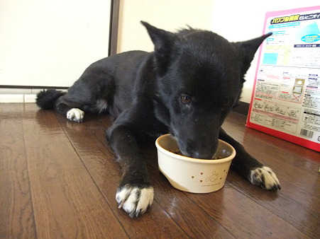 以前の銀の食事風景