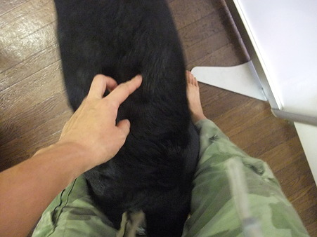 トンネルや~~♪