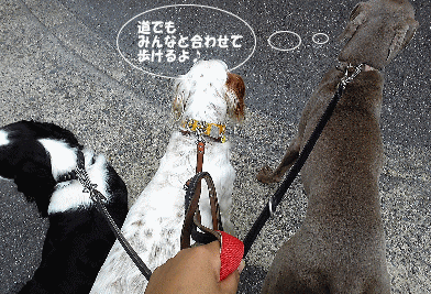 imageのあ14