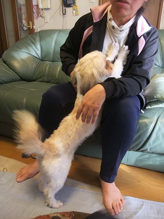 「お母さん、お母さん」