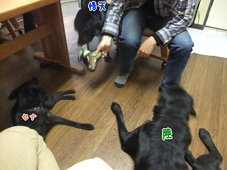 馴染んでる~