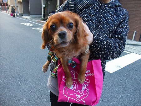 おもろいから許す!^^