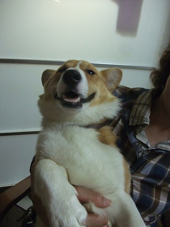 何でもさせてくれるし体を預けてくれる