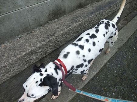 ちょっとふっくらしてきたでしょ
