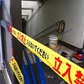Photos: 7月30日 (8)