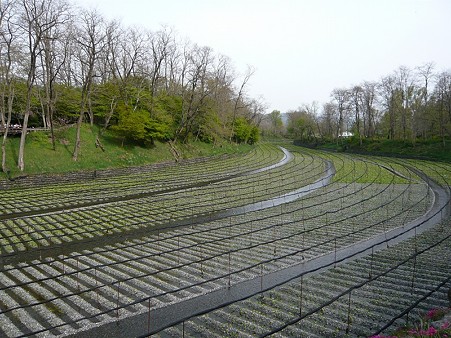 2011-05-04 15-07-23