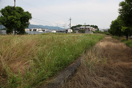 藤原京朱雀大路跡 - 2