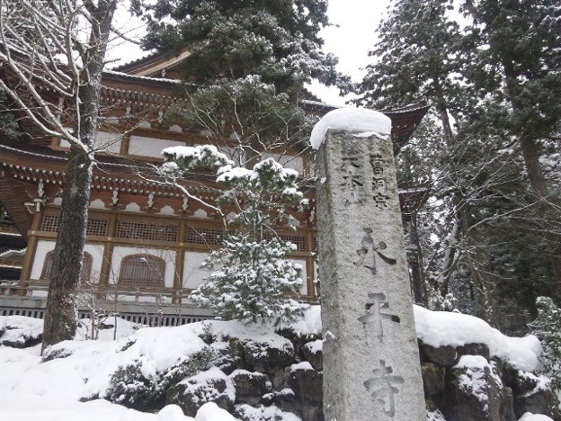 曹洞宗大本山永平寺 雪化 照片共享页面 撮影蔵