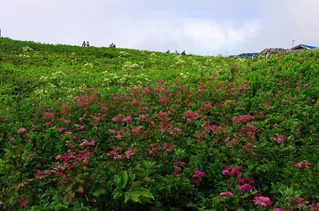 IMGP2602