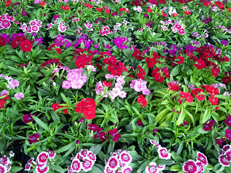 DVC00222_edited