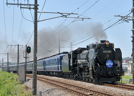 D51(3)