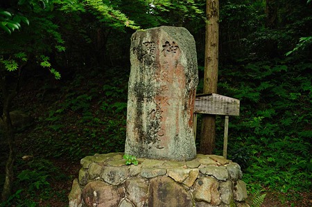 1106220644_DSC_0697