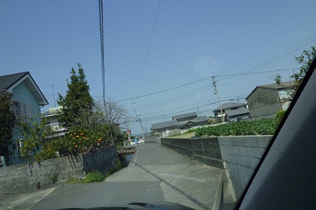 1003221156_P1640214