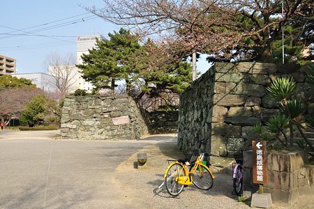 1003221544_DSC_1236