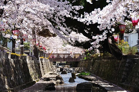 1004081034_DSC_1828