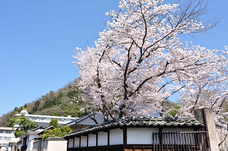 1004081221_DSC_2012