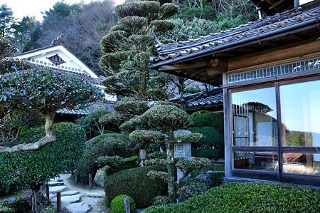 1004081541_DSC_2472