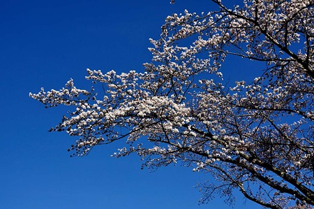 1004081602_DSC_2599